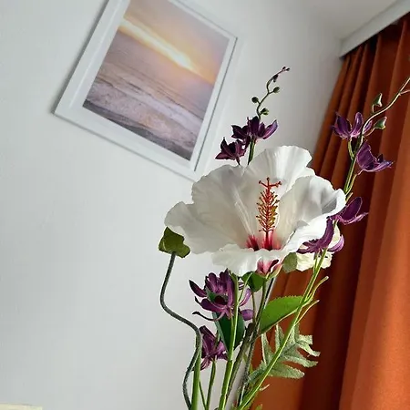 Apartment Harmony Graz Buitenkant foto